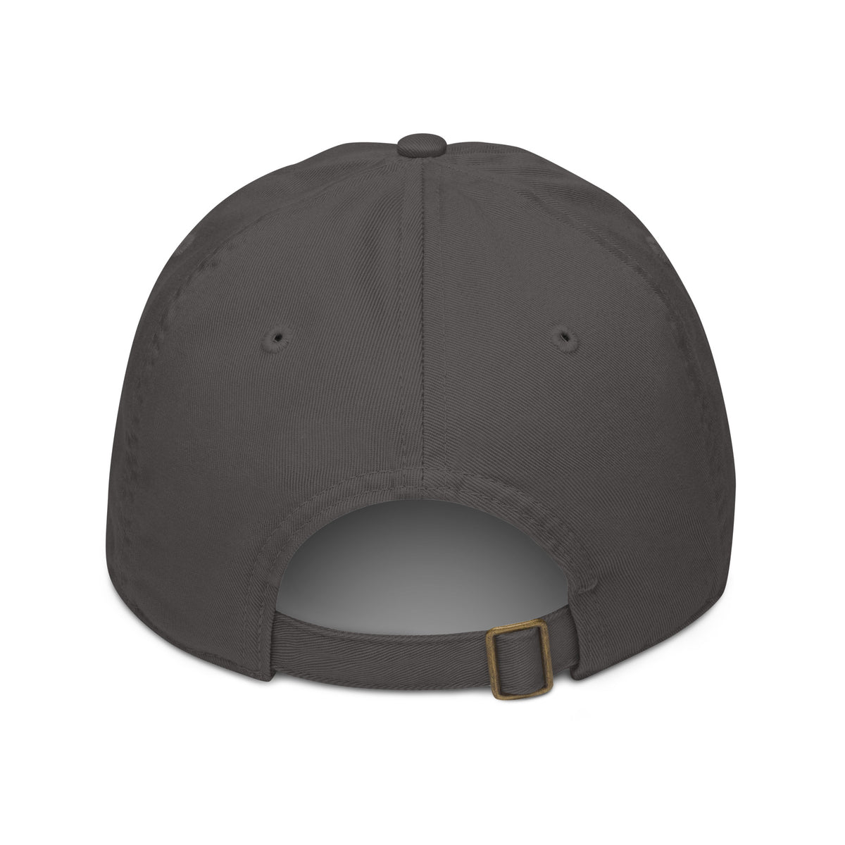 VIM Family Pride Organic Dad Hat for Dads Legacy Wearable Heritage Premium Quality Cap in dark gray with adjustable strap