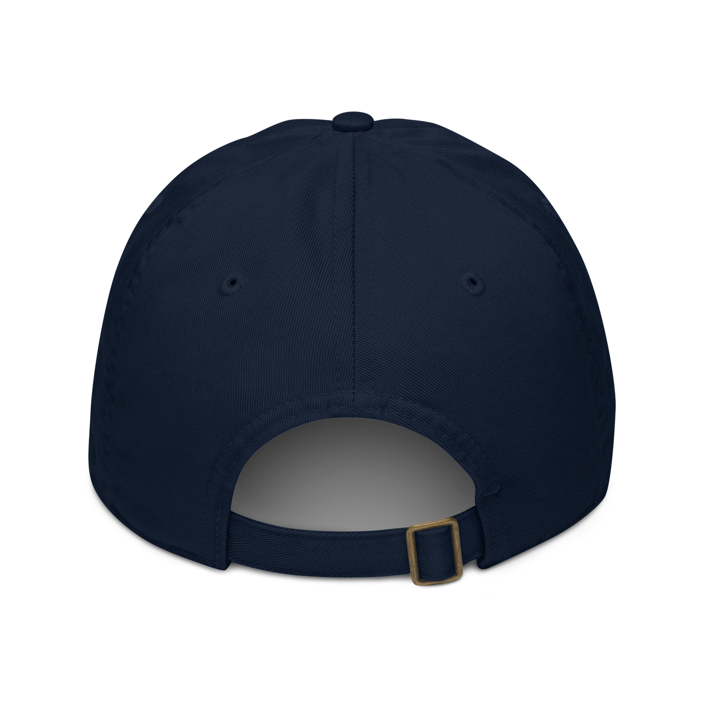 V.I.M Wild Boys Lion Theme Organic Dad Hat - Velvet Ink Market (V.I.M)